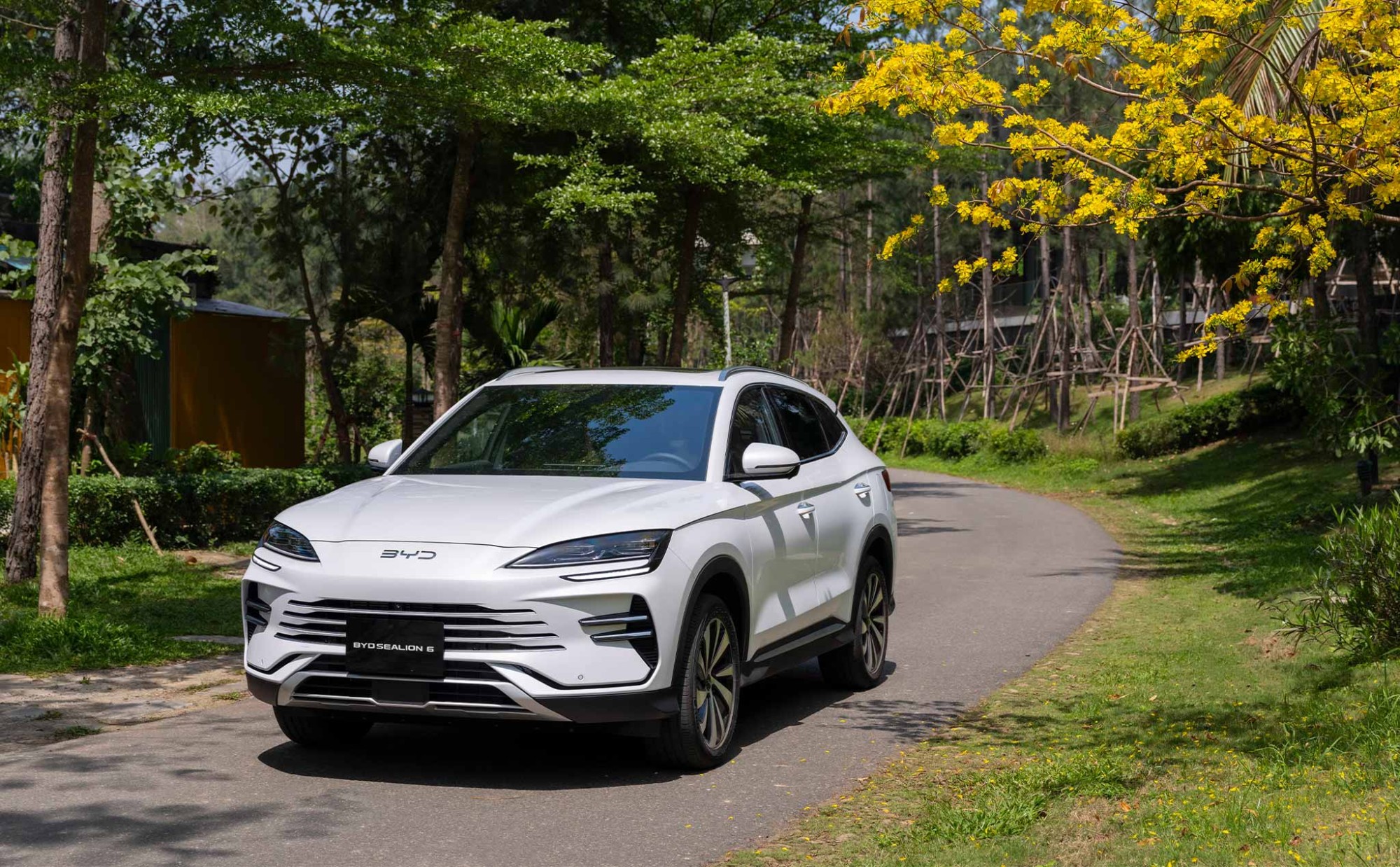 GIÁ LĂN BÁNH BYD SEALION 6 TRONG THÁNG 4/2026